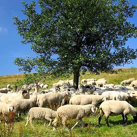 Rhoen Park Aktiv