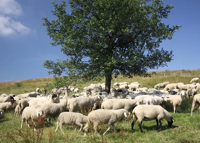 Rhön Park Aktiv 3* Hausen (Rhon-Grabfeld)
